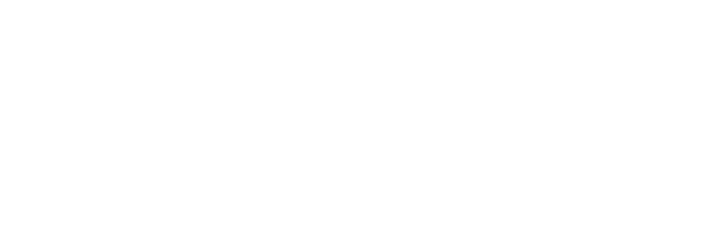 White logo of Réaliseo